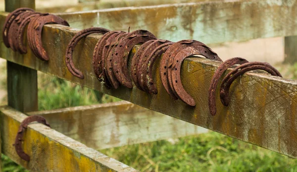 Old Horse Shoes — Stock Photo, Image