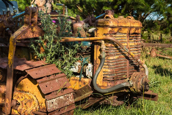 Bulldozer amarelo vintage — Fotografia de Stock