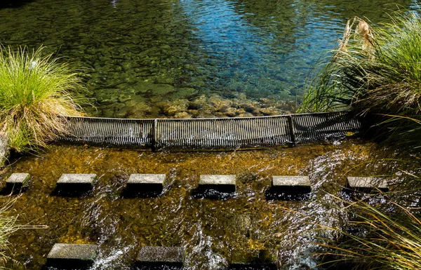 Форельный пруд — стоковое фото