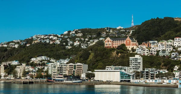 Oriental Bay — Stock fotografie