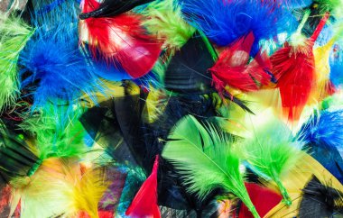 Karışım rengi tüyler