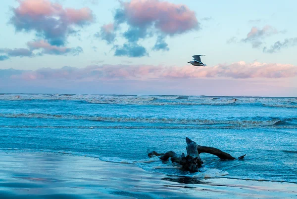 Ride The Sea Wind — Stock Photo, Image