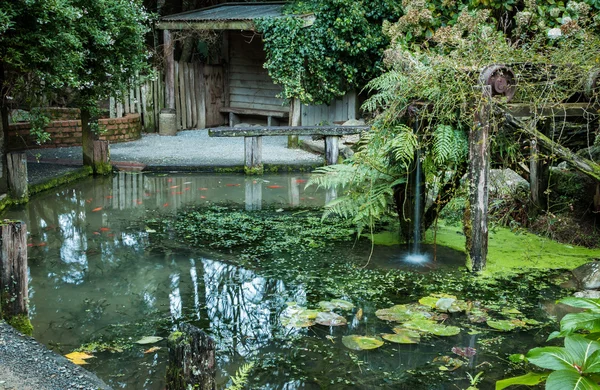 Bush Pond — Stock Photo, Image