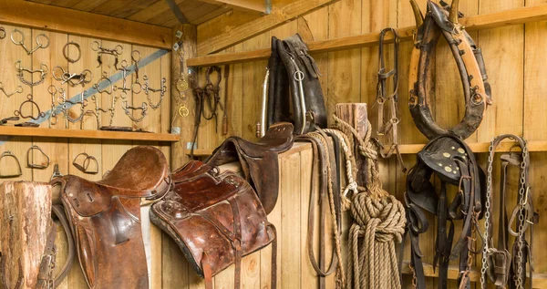 Häst utrustning — Stockfoto