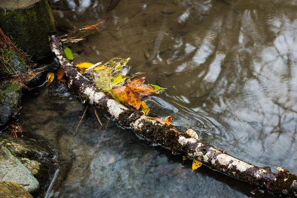 Přírodními podzimní vodní přehrada — Stock fotografie