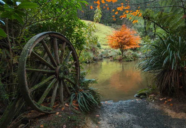 Wheel Pond — Stock Photo, Image