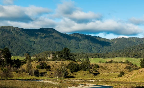 Perbukitan semak baru Zealand — Stok Foto