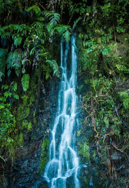 Native Waterfall — Zdjęcie stockowe