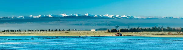 Flat Farmland — Stock Photo, Image