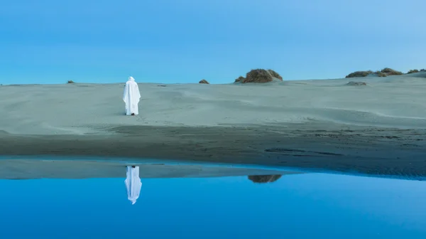 Deserto de Jesus — Fotografia de Stock