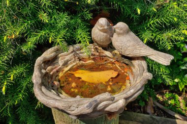 Harika küçük bahçe kuş banyosu, küvetin kenarında iki model kuş ve suda bir yaprak.