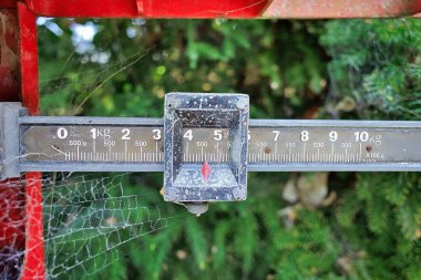 Ağırlık ve denge kolu kullanan eski terazilerin yakınlaştırılması..