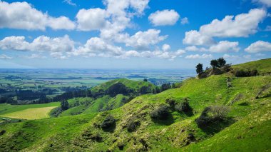 Yeni Zelanda tarım arazisinin yeşil tepeleri. Tepenin tepesinde taş bir sandalye..