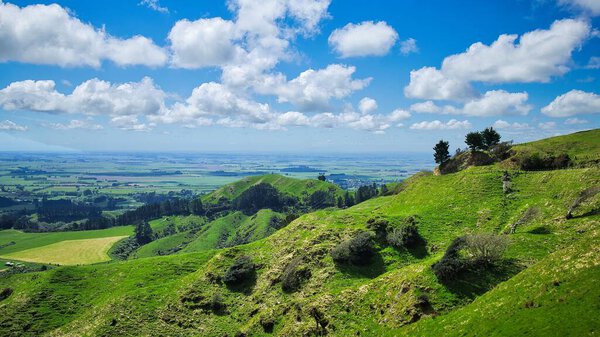 Удивительные зеленые горлышки новозеландской фермы с каменным стулом на вершине холма.