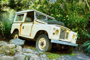 Eski, dört çekerli eski bir cip. Şimdi bir bahçe çalılığına park ettim..