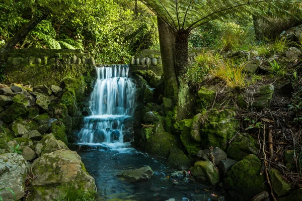 Der Wasserfall im Garten — Stockfoto