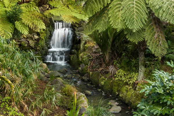 Cachoeira Jardim Área — Fotografia de Stock