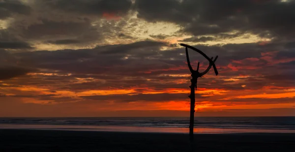 Treibholz Sonnenuntergang — Stockfoto