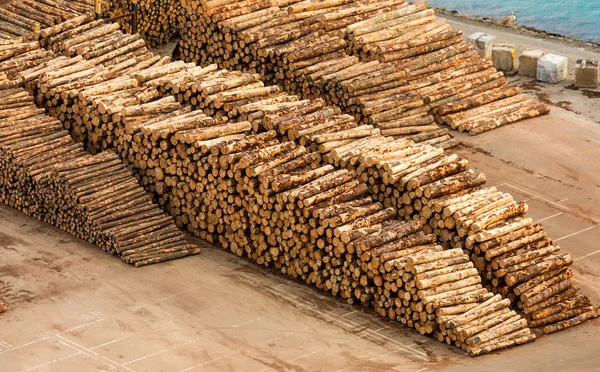 Exportação Logs Stack — Fotografia de Stock