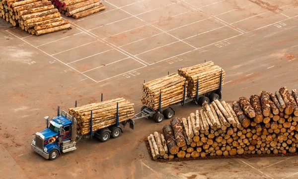 Área de Transporte de Log — Fotografia de Stock