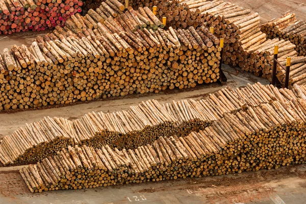 New Zealand Logs — Stock Photo, Image