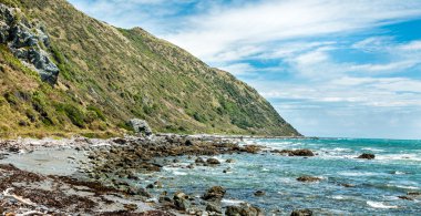 Rock Yeni Zelanda kıyı şeridi