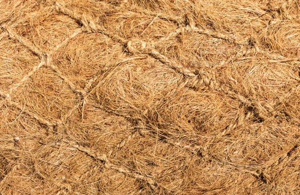 Dry Flax Fiber — Stock Photo, Image