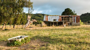 Eski Yeni Zelanda tarım