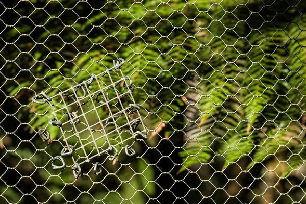 Fågel Wire Patch — Stockfoto
