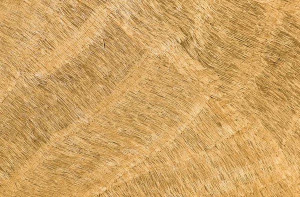 Flax Fiber Texture — Stock Photo, Image