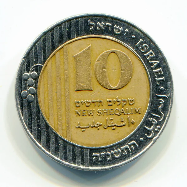 Israelische Neue Shequalim Bimetallmünze 1995 Jahr Die Münze Zeigt Einen lizenzfreie Stockbilder