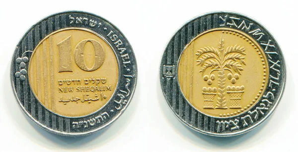 Israelische Neue Shequalim Bimetallmünze 1995 Jahr Die Münze Zeigt Palme Stockbild