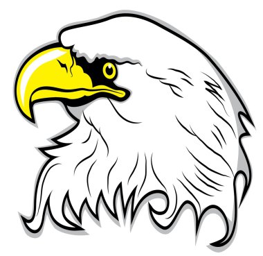 kartal baş vektör