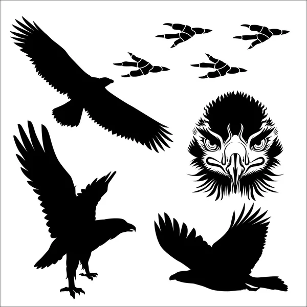 Vecteur de silhouette aigle — Image vectorielle