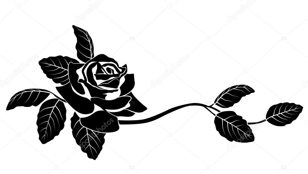 flowers rose vector