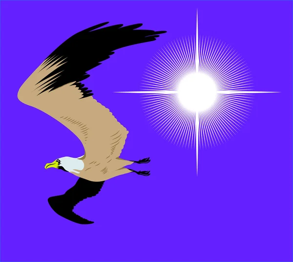 Gaviota voladora en el cielo con sol brillante — Vector de stock
