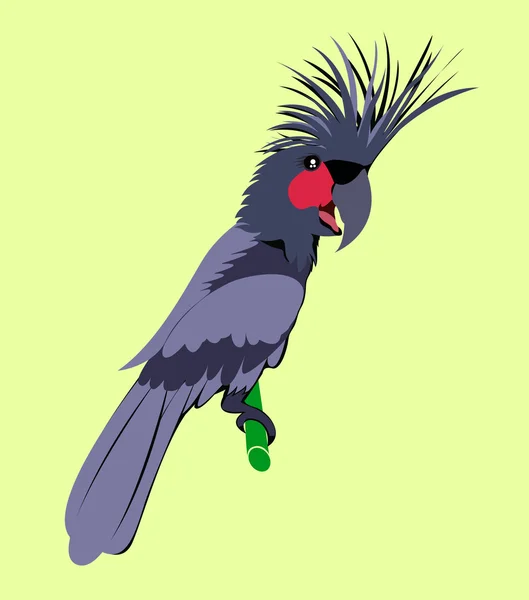 Cartoon állati, Kakadu , — Stock Vector