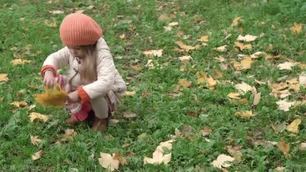어린 시절, 가족, 가을 컨셉 - 오랜 머리를 하고 있는 작은 금발 소녀 3-4 살 오렌지색 버킷에는 구름낀 날씨에 공원의 위저 바구니에 떨어진 푸른 잔디에서 떨어진 노란 단풍나무 잎을 모은다. — 비디오