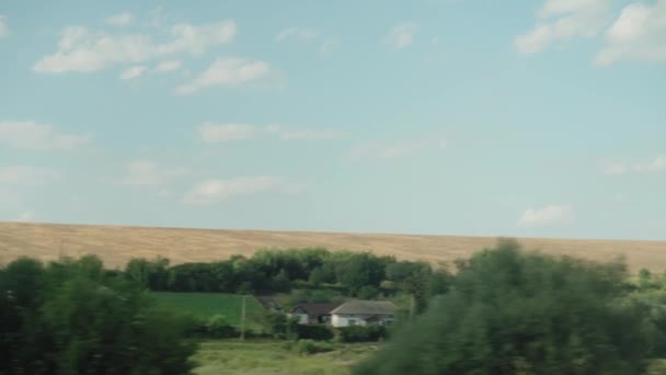 Trasporto, viaggi, strada, ferrovia, paesaggio, concetto di comnicazione - vista dalla finestra del treno di velocità sul paesaggio del campo di grano giallo, pali elettrici e foresta in tempo soleggiato sera d'estate — Video Stock