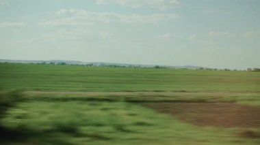 Ulaşım, seyahat, yol, demiryolu, manzara, yakınlaşma konsepti - sarı buğday tarlası, elektrik direkleri ve açık yaz akşamında orman manzarası üzerindeki hız treninin penceresinden manzara