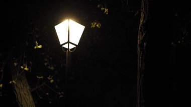 Hava tahmini, anormallik, acil durum, element, kış konsepti. Kar yağışının sabit olmayan el kamerasıyla çekilmesi. Gece parkındaki sokak lambalarının sarı ışığında düşen kar taneleri. Kiev 'deki ilk kar