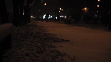 Hava tahmini, anormallik, acil durum, kış konsepti - dengesiz el tipi kar fırtınası. Sokak lambaları ışığında düşen kar taneleri. Kiev 'de kar yağarken park sokağından geçen insanlar.