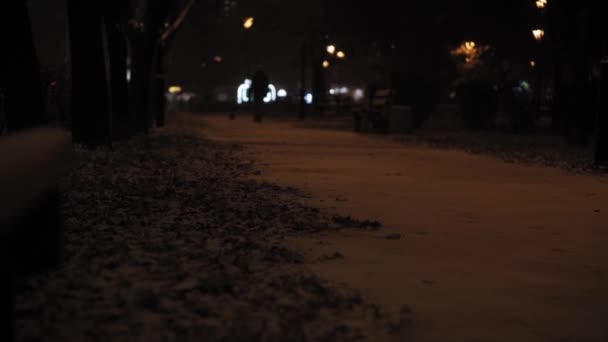 Hava tahmini, anormallik, acil durum, kış konsepti - dengesiz el tipi kar fırtınası. Sokak lambaları ışığında düşen kar taneleri. Kiev 'de kar yağarken park sokağından geçen insanlar. — Stok video