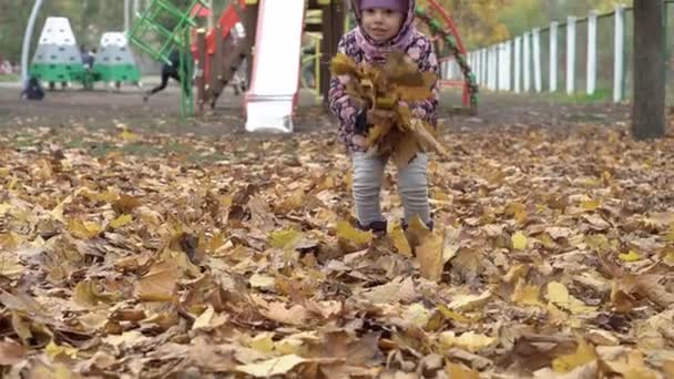 Infância, família, bebê, maternidade, conceito de outono - câmera lenta alegre alegre pequena menina menor pré-escolar em roxo coleta e vomita muitas folhas amarelas caídas perto do parque infantil na estação fria — Vídeo de Stock