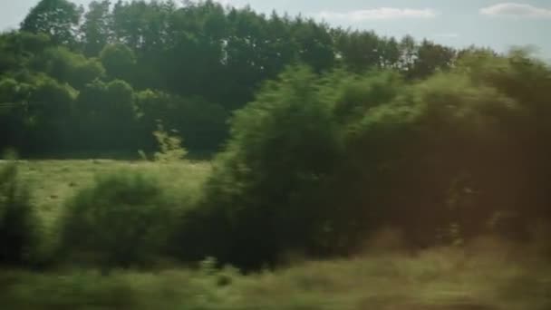 Vervoer, reizen, weg, spoorweg, landschap, comnicatie concept - uitzicht vanuit het raam van de sneltrein op landschap van gele tarwe veld, elektrische palen en bos bij zonnig helder weer zomeravond — Stockvideo