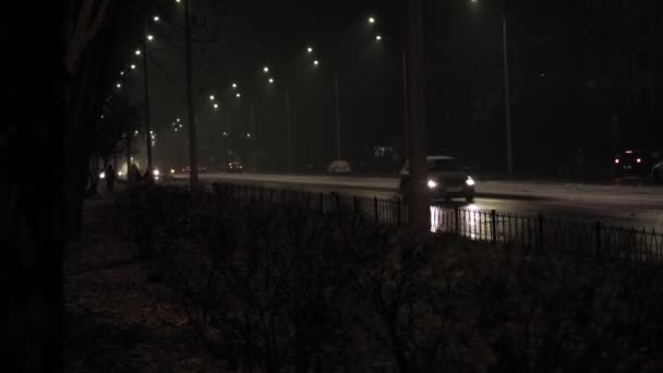 天気予報、異常、緊急、要素、冬のコンセプト-雪の不安定な手持ち撮影をパンニング。車で夜の道路で街灯の光の中で雪が降る。キエフの最初の雪は — ストック動画