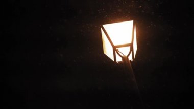 Hava tahmini, anormallik, acil durum, element, kış konsepti. Kar yağışının sabit olmayan el kamerasıyla çekilmesi. Gece parkındaki sokak lambalarının sarı ışığında düşen kar taneleri. Kiev 'deki ilk kar