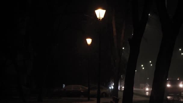 Прогноз погоды, аномалия, чрезвычайная ситуация, зимняя концепция - панорамирование нестабильной ручной съемки снегопадов. Падающие снежинки в свете уличных фонарей. люди, проходящие по парковой аллее со снегом в Киеве — стоковое видео