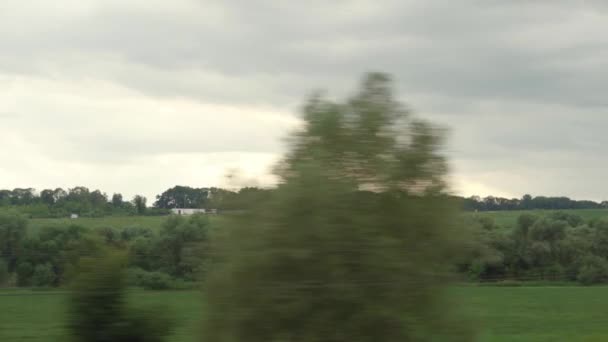 Trasporto, viaggi, strada, ferrovia, paesaggio, concetto di comnicazione - vista dalla finestra del treno di velocità sul paesaggio del campo di grano giallo, pali elettrici e foresta in tempo nuvoloso opaco sera d'estate — Video Stock