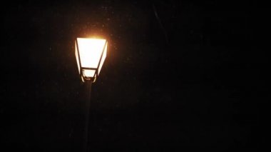 Hava tahmini, anormallik, acil durum, element, kış konsepti. Kar yağışının sabit olmayan el kamerasıyla çekilmesi. Gece parkındaki sokak lambalarının sarı ışığında düşen kar taneleri. Kiev 'deki ilk kar
